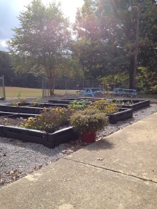 School garden in Grundy Co., Tennessee