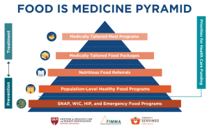 Food is Medicine pyramid outlining prevention and treatment