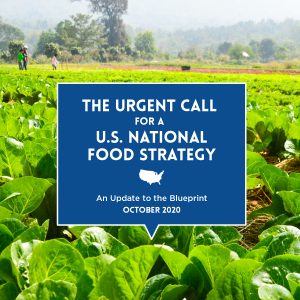 Cover page: "The Urgent Call for a U.S. National Food Strategy". Page has a picture of a farm
