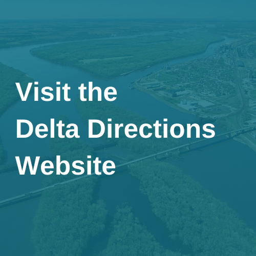 Blue background with faded river visible, text says "Visit the Delta Directions Website"
