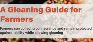 Title of report: "Gleaning Guide for Farmers" on faded image of hands holding crops.