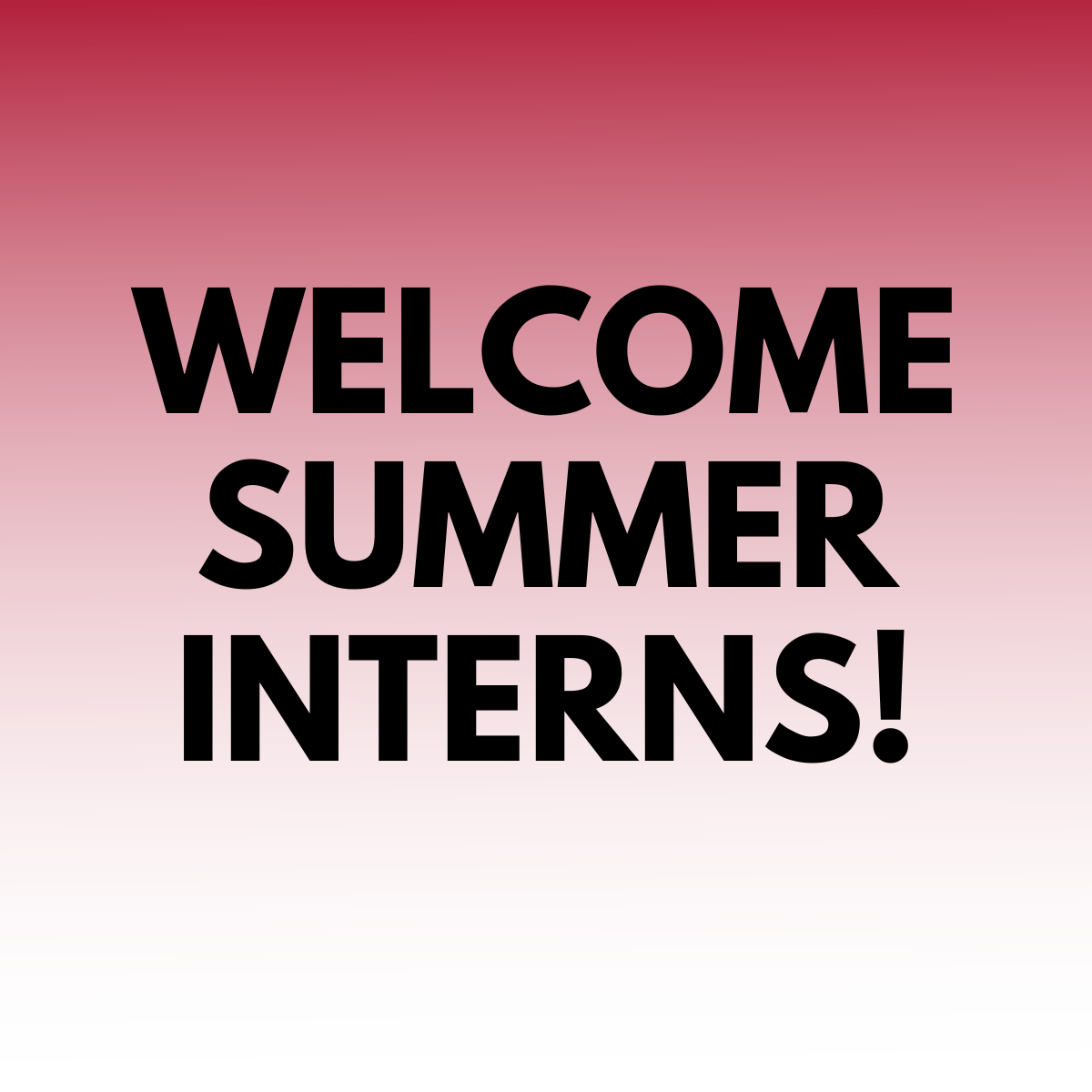 Welcome summer interns