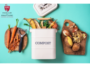 Photo of food composting showing food and compost bin.