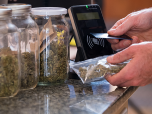 Photo of marijuana being purchased legally