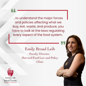 Emily Broad Leib Quote from Harvard Undergraduate Law Review Interview