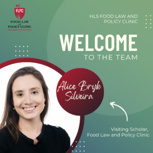 Alice Bryk Silveira Welcome Banner