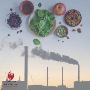 Food and methane Emissions article cover