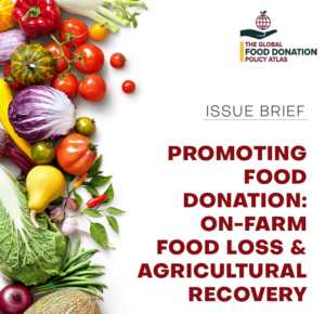 Issue Brief on Food Loss and Agricultural Recovery Cover